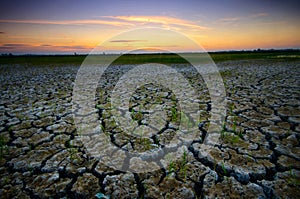 Dry cracked desert. The global shortage of water on the planet.Â  Global warming and greenhouseÂ  effect concept.